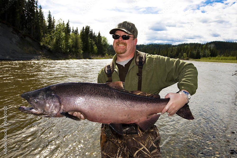 Fisherman wearing a green hat and sweatshirt holds a large salmon fish while standing on the bank of a river