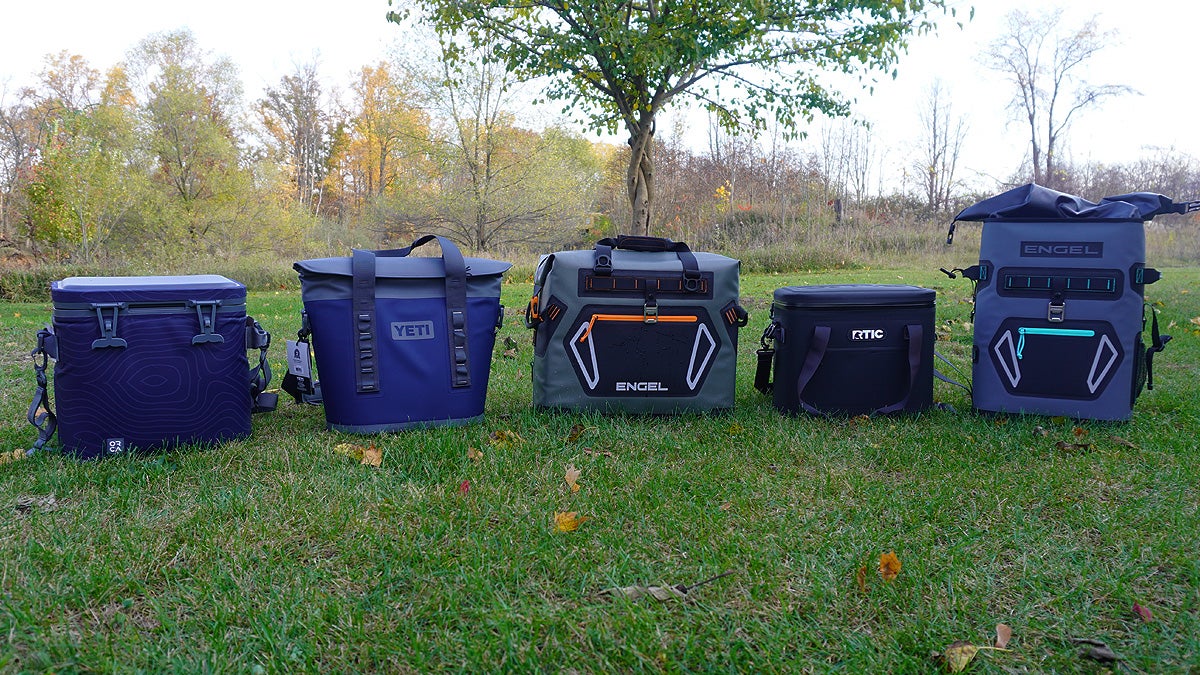 Five soft coolers of various brands sitting on a grassy lawn.