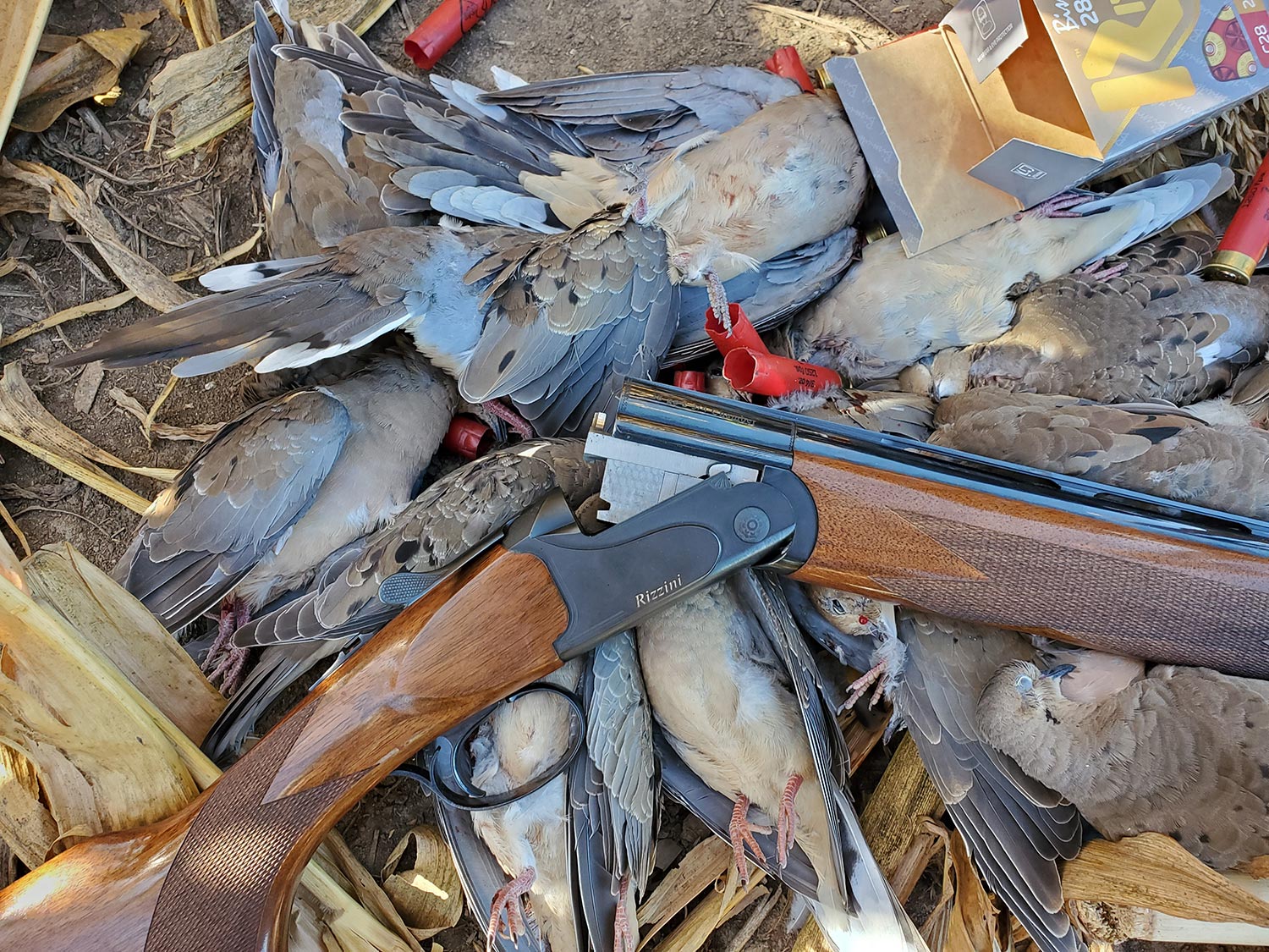 The author’s 28-gauge Rizzini over/under worked well for close-range decoying doves. But when the shots got tougher, he switched to a heavier 12-gauge.