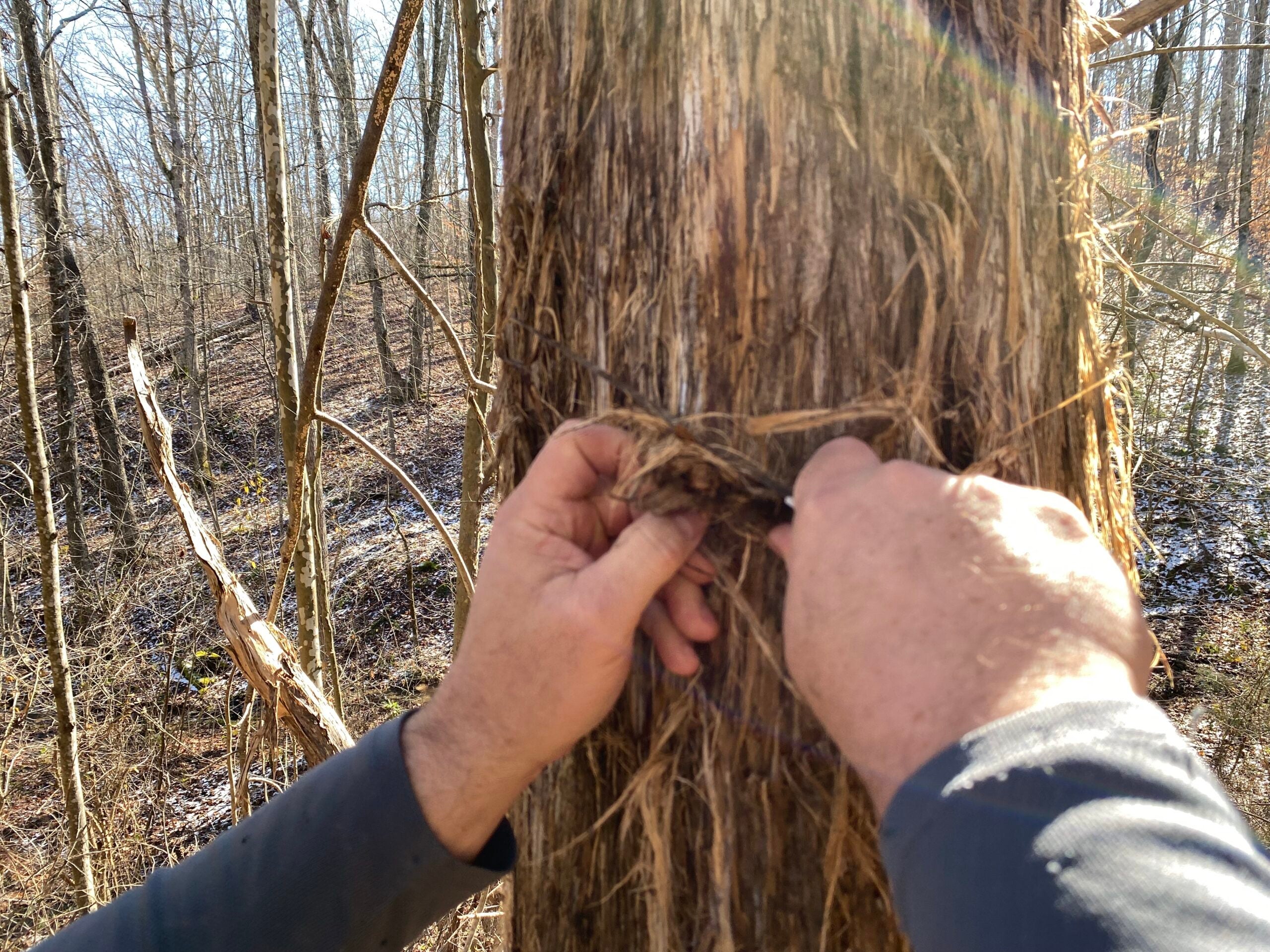 A man uses a knife to shave bark from a cedar tree to use for a campfire.