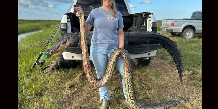 Florida Gator Hunters Capture Rare Python Hundreds of Miles North of the Everglades