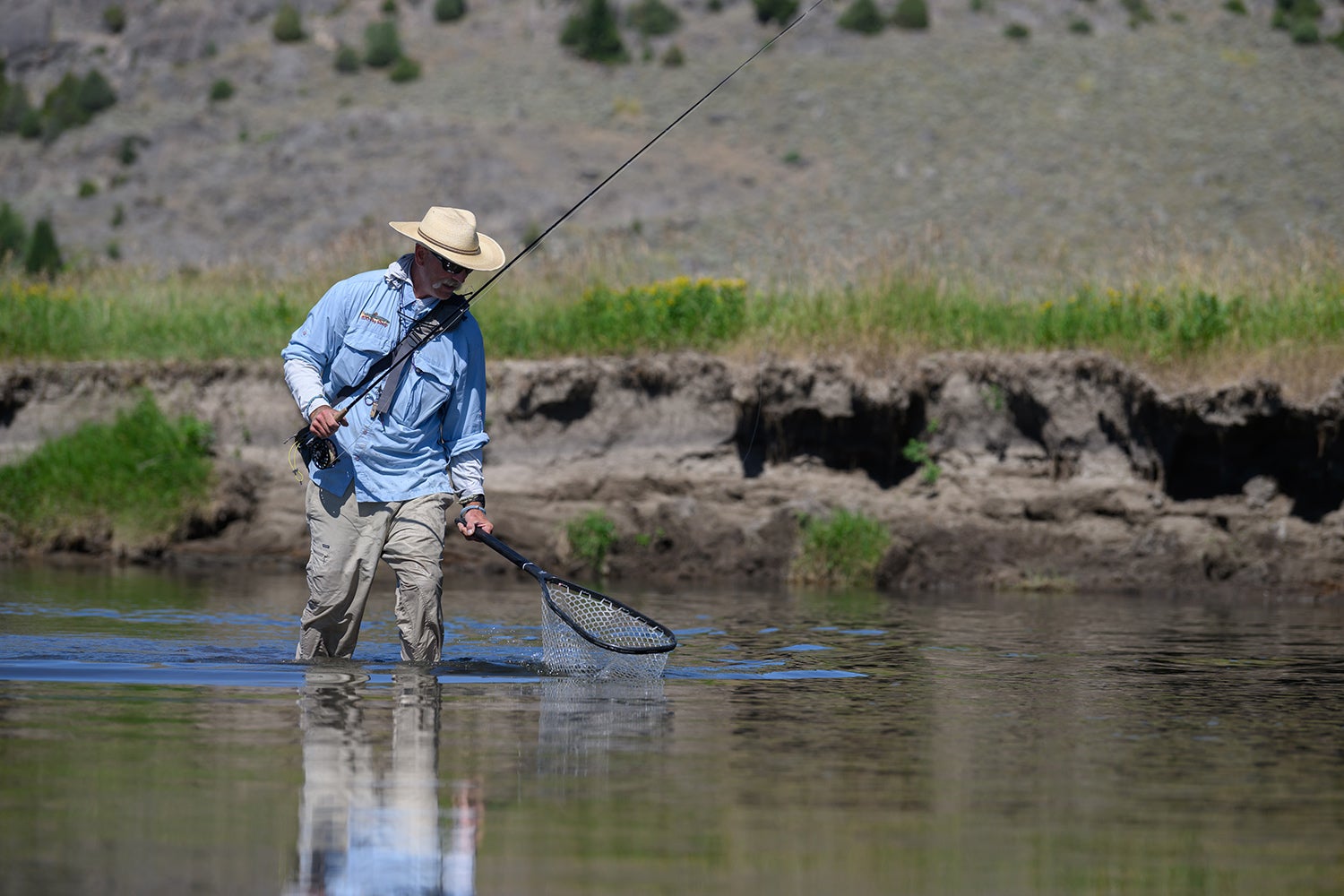 Weamer nets a fish for tagging in Yellowstone