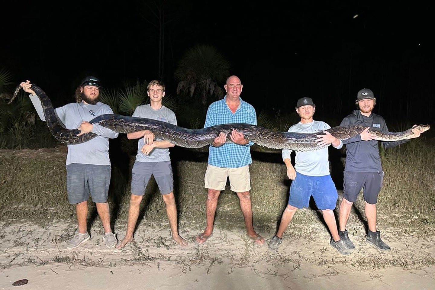 A crew of snake hunters pose with a massive Burmese python captured in the Florida's Big Cypress National Preserve.