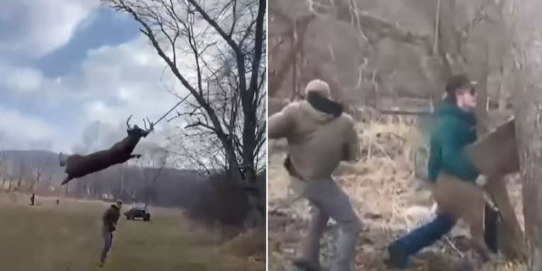 Watch Two Men Free a Deer Swinging from a Rope Swing