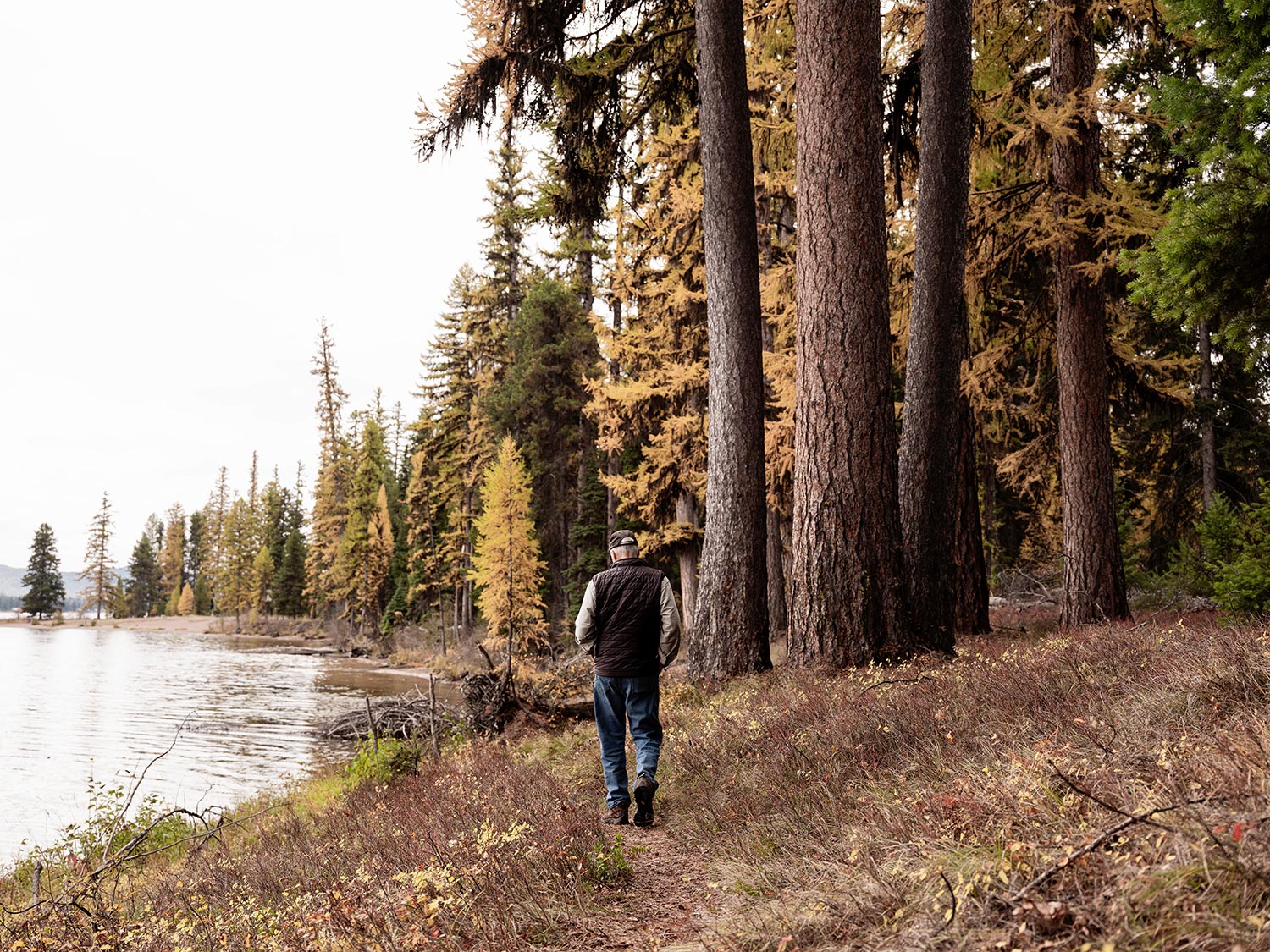 A man dressed in blue jeans and a hat and vest walks along the edge of a lake with pine trees along the shore.
