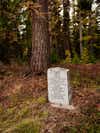 A gravestone marker for Norman Maclean sits in a wooded forest.