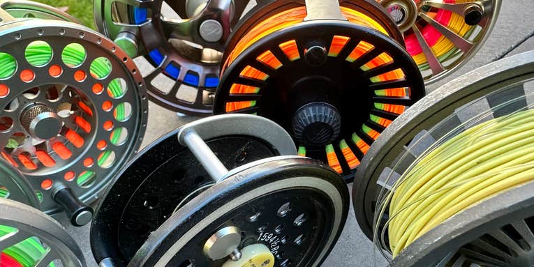 How to Choose a Fly Fishing Reel