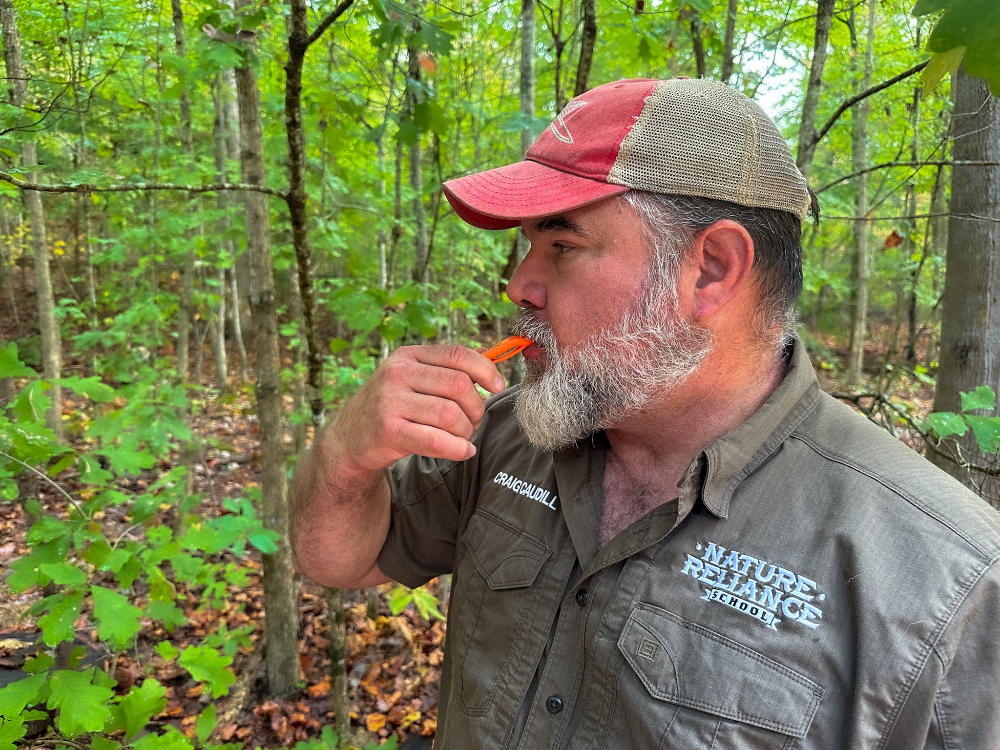 A man wearing a gray shirt and red hat blows a survival whistle in a the woods