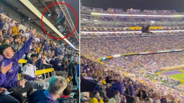 Watch an LSU Football Fan Catch and Release a Stray Bird in the Stands