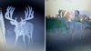 Two trail camera photos of a huge Texas buck at a feeder