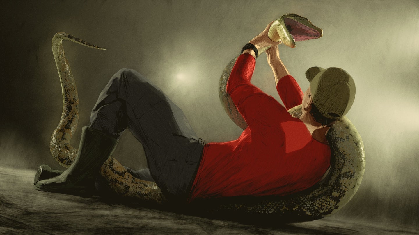 An artist rendering of a man fighting with a Burmese python on a road in Florida at night.