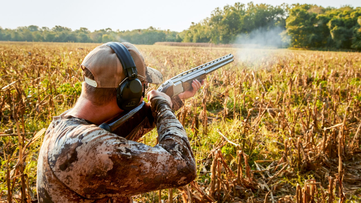 Dove hunter shooting in field