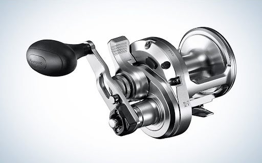 Shimano Speedmaster reel on blue and white background