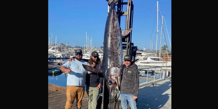California Angler Breaks 20-Year-Old State Record with 520-Pound Swordfish