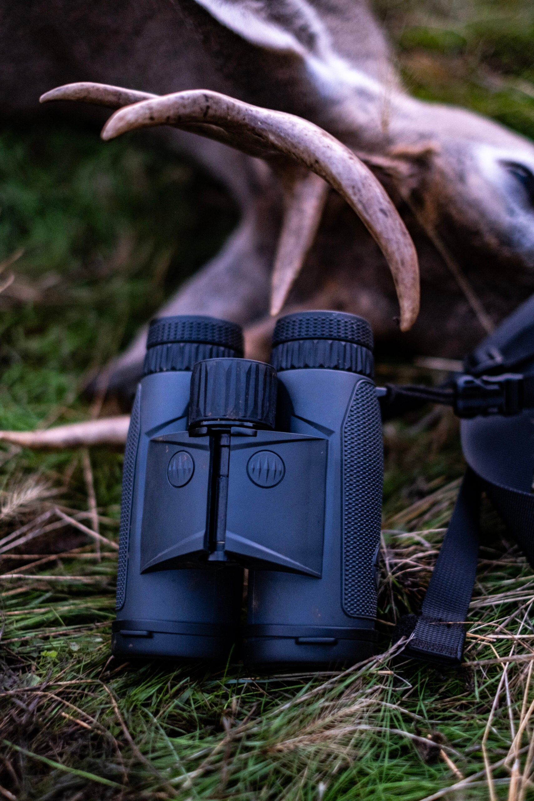 Leupold BX-4 Range HD binocular on the ground with harvested deer in the background