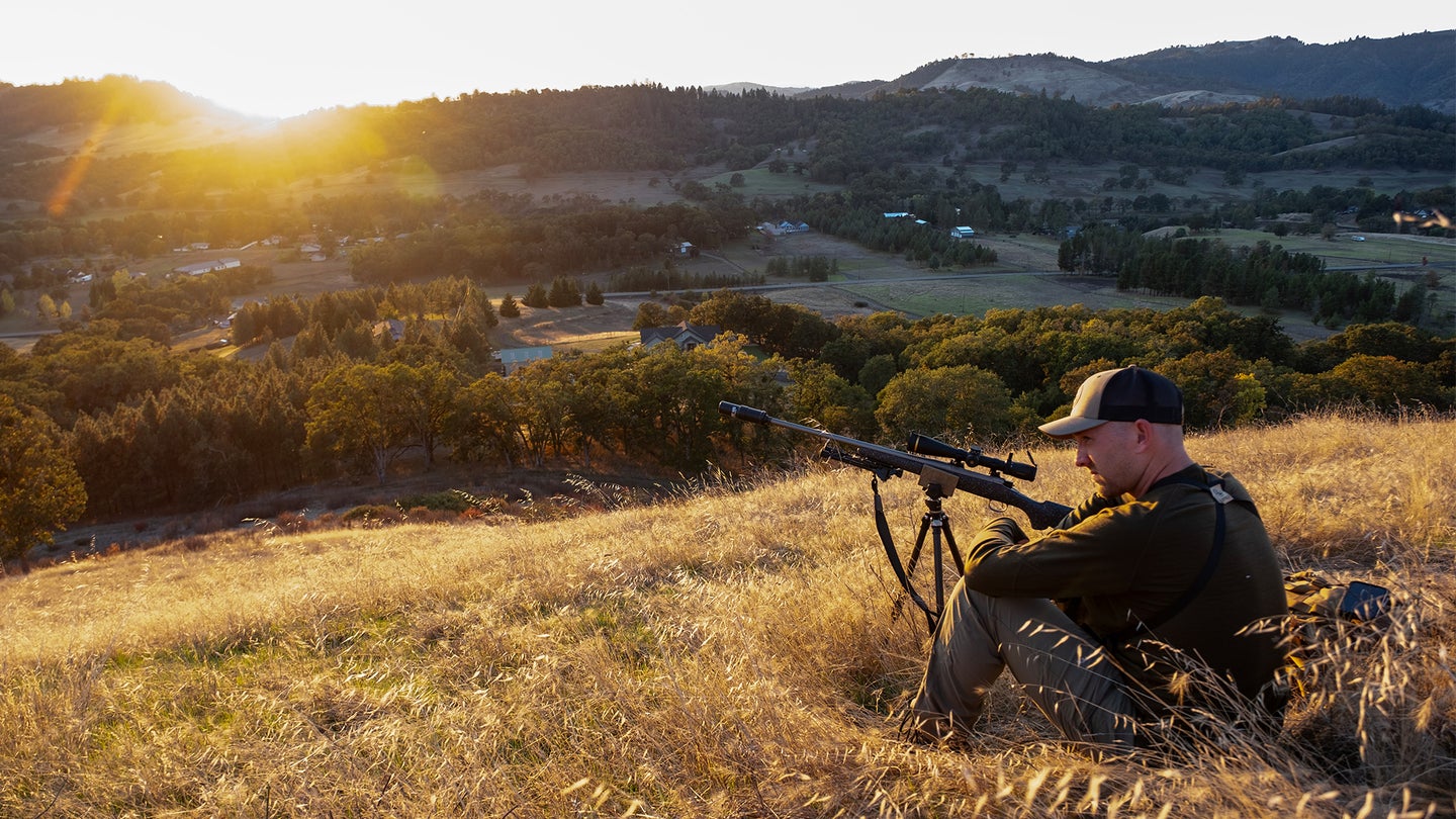 A hunter looks for Columbian whitetail deer on a sunlit hillside overlooking a wooded valley