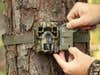 Person attaching a Moultrie Micro-42i trail camera to a tree