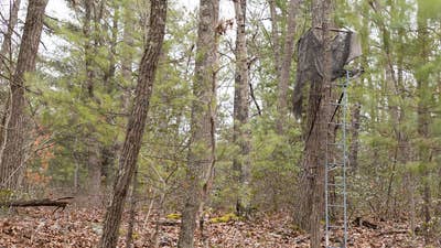 Pennsylvania Hunter Dies in Shocking Treestand Fire