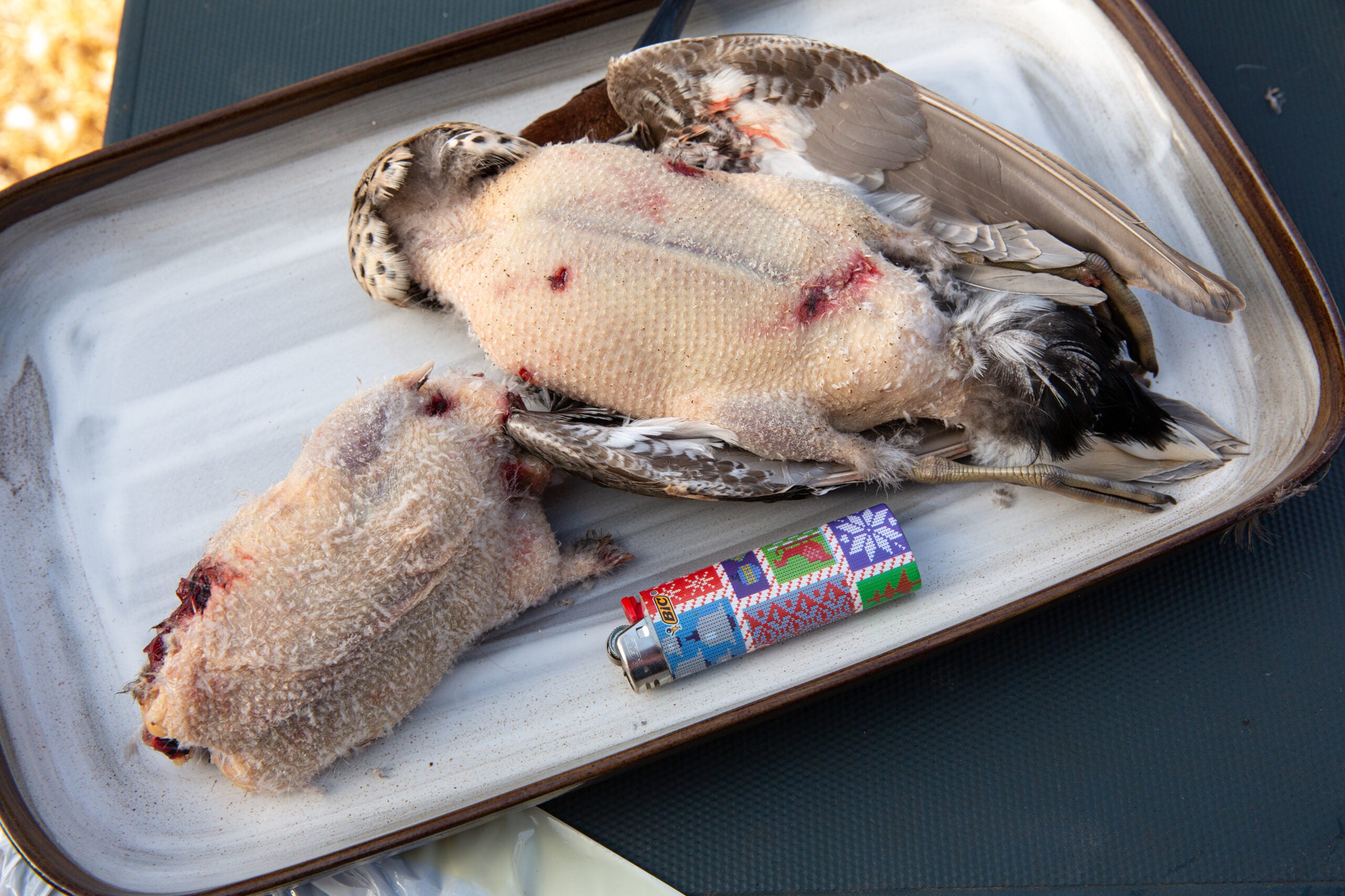 Two plucked teal ducks on a white platter and a Bic lighter to be served as a duck breast recipe