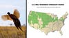 Pheasant flying on left; map of U.S. wild pheasant range on right