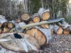 Gerber Bushcraft Axe and Hatchet chopping a log