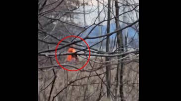 Video: Woman in Orange Vest Fires Pistol While Harassing Deer Hunter in Ohio