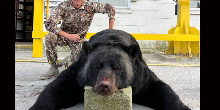 North Carolina Man Arrows Massive 780-Pound Black Bear