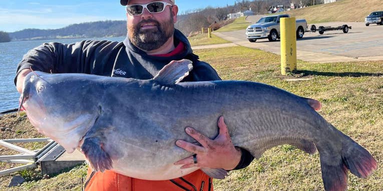 Angler’s Massive Blue Catfish Breaks West Virginia State Record