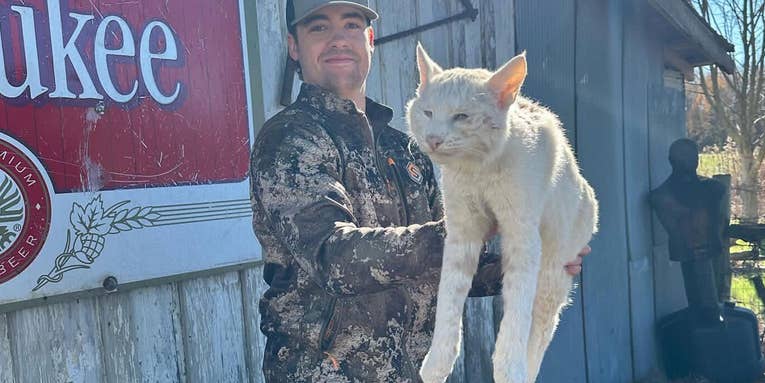 Arkansas Hunter Bags Rare Albino Bobcat