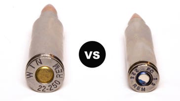 22-250 vs 223: Which Cartridge Is Better?
