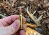 A cartridge in a hunter's hand with a whitetail deer in background