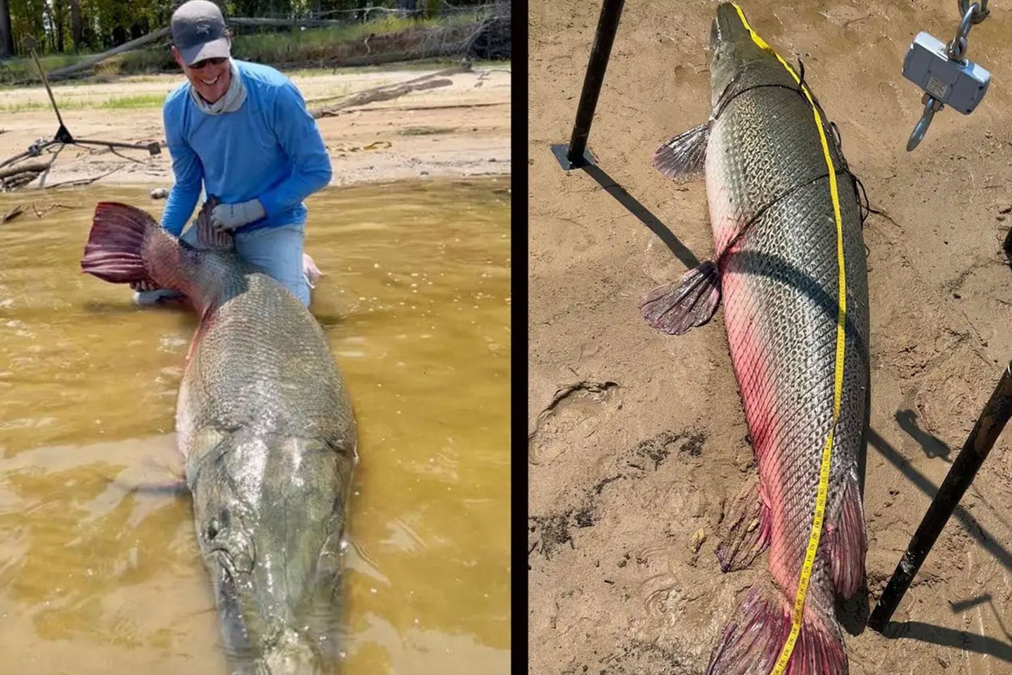 Art Weston's 283-pound alligator gar was one of the biggest fish of 2023. 