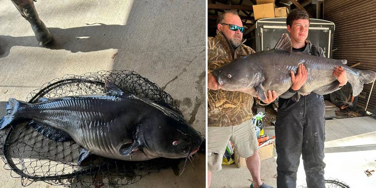South Carolina Teen Lands Giant Blue Catfish Weighing Nearly 100 Pounds