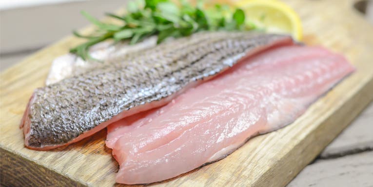 Striped Bass Recipes: Cooking Tips for Anglers