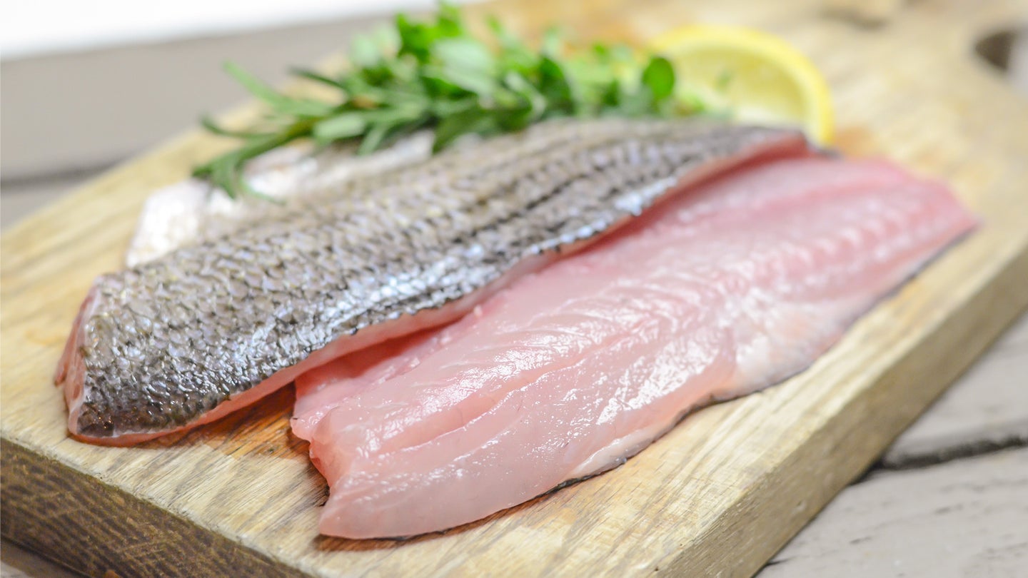 striped bass fillets on cutting board