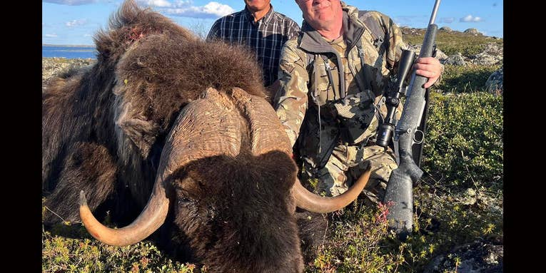 Hunter’s Giant Musk Ox is a Pending World Record