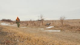 A bird hunter dressed in camo and orange walks a dirt road with his hunting dog.