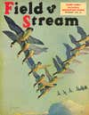 Magazine cover artwork showing a flock of geese flying in a V