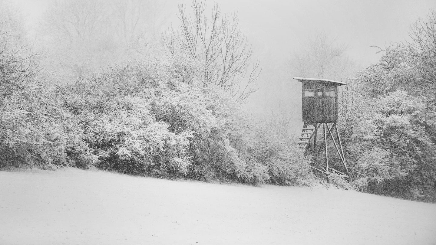 A hunters box blind in a line of brush facing an open field on a snowy day