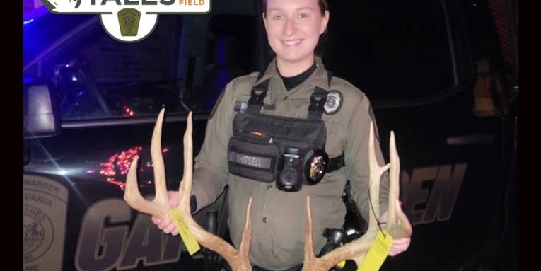 Pennsylvania Poachers Fined Thousands After Shooting Giant Buck from Inside a Vehicle at Night