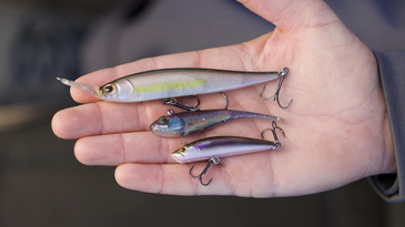 Berkley Just Released Forward-Facing Sonar Baits—And They’re Pretty Awesome