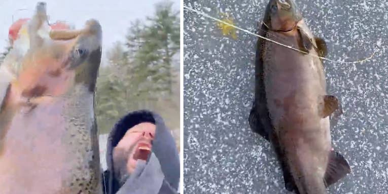 Ice Fisherman’s Giant Rainbow Trout Shatters Rhode Island State Record