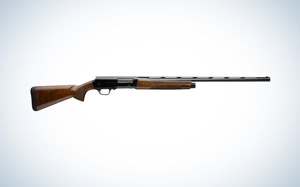 Browning A5 20ga on blue and white background