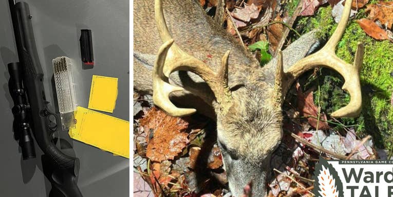 Poachers Sentenced After Shooting 26 Deer at Night with .22 Caliber Rifle
