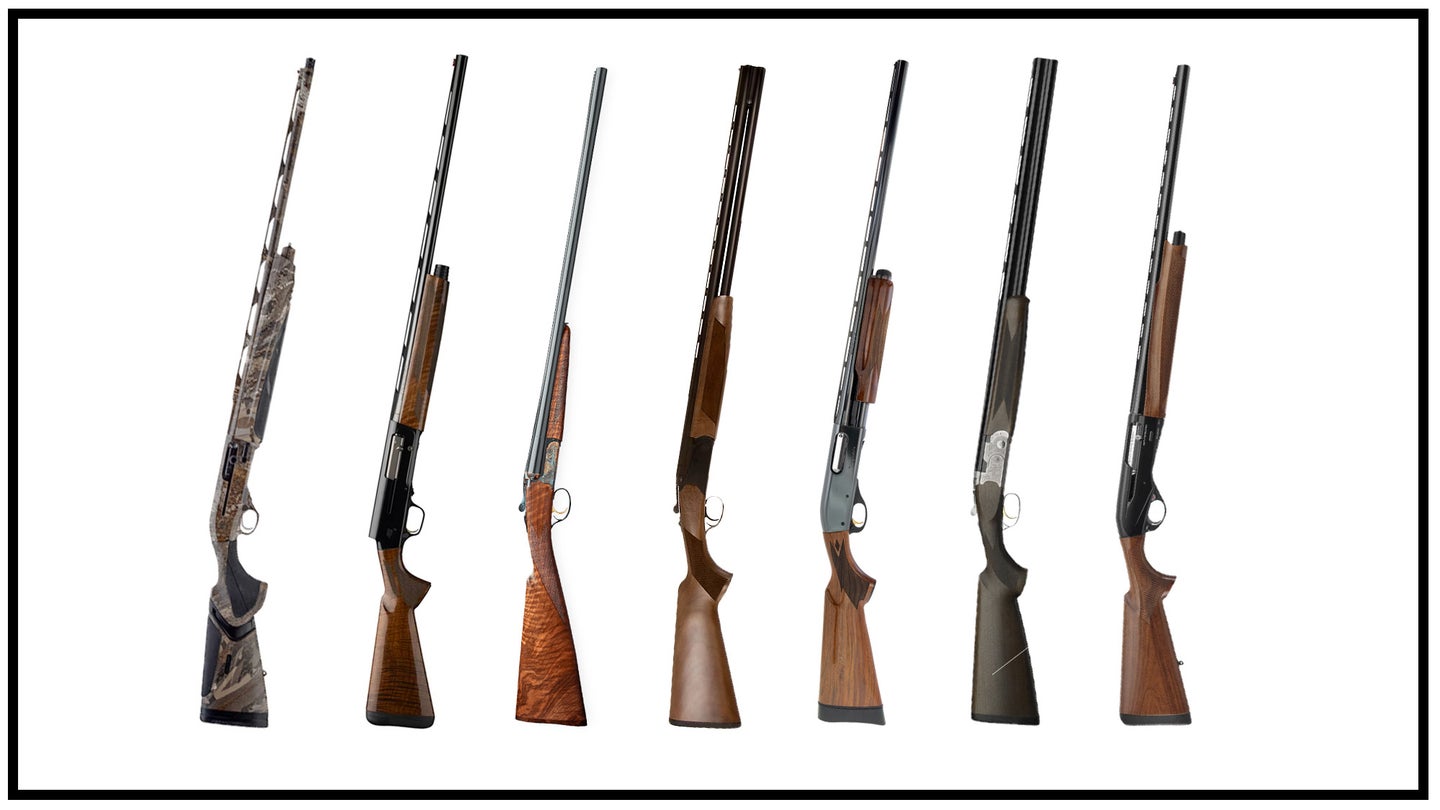 collage of 20 gauge shotguns