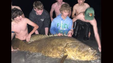 Florida Teen Catches and Releases Goliath Grouper Weighing More than 200 Pounds