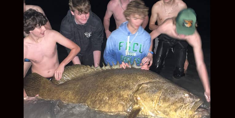 Florida Teen Catches and Releases Goliath Grouper Weighing More than 200 Pounds