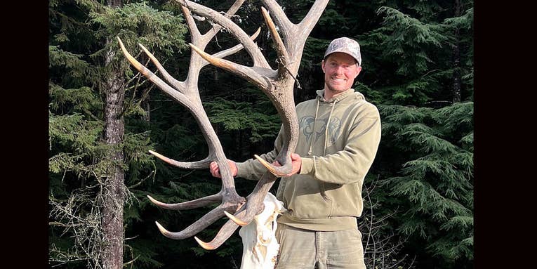 Hunter’s 439-Inch Roosevelt Elk Should Smash the Boone & Crocket World Record