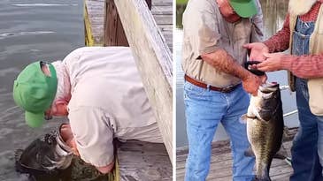 Watch: Alabama Man Catches 16-Pound Largemouth Bass By Hand