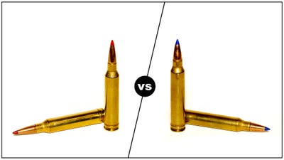 7mm Rem Mag vs 300 Win Mag: Which Is Better?